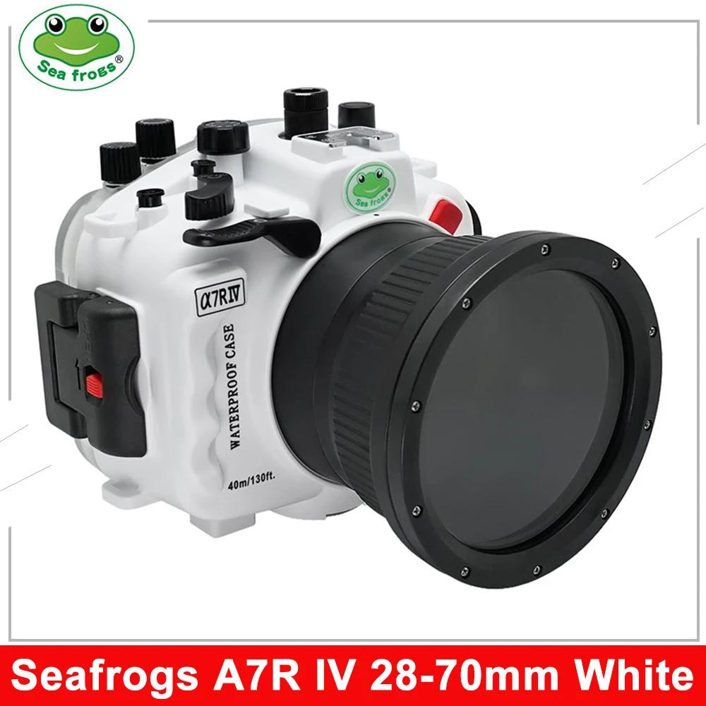 Seafrogs-  Ͽ¡ 40M, 130ft  ī޶ Ͽ¡,  A7R IV , 28-70mm  ÷ Ʈ 